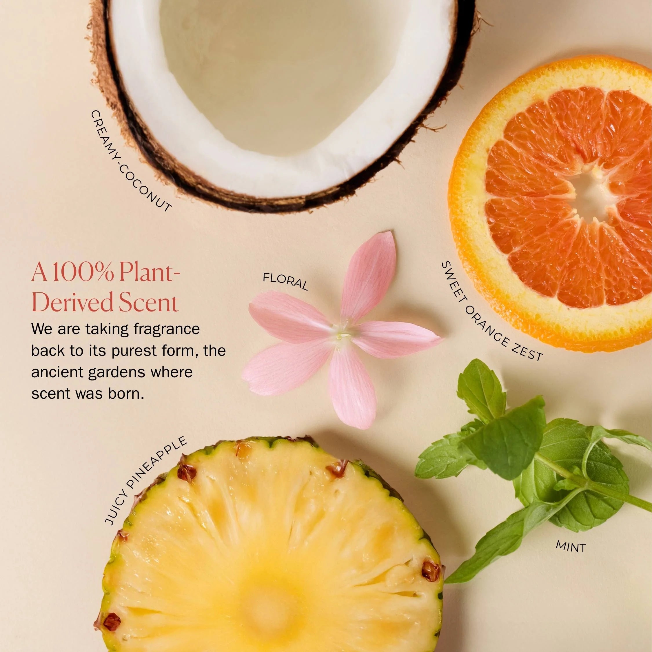 Bounce Curl Ceramide Jelly | Weightless collection